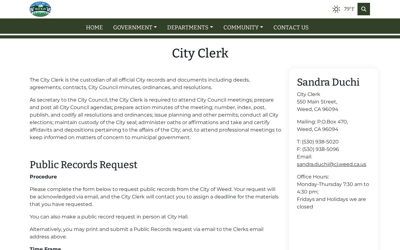 Weed City Clerk public criminal record request process
