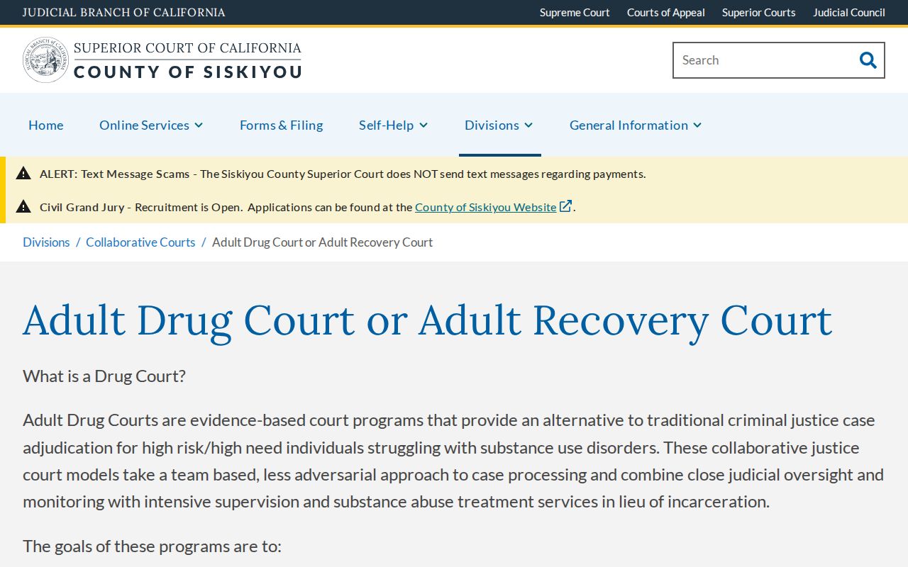 Siskiyou County criminal court case Adult Recovery Court